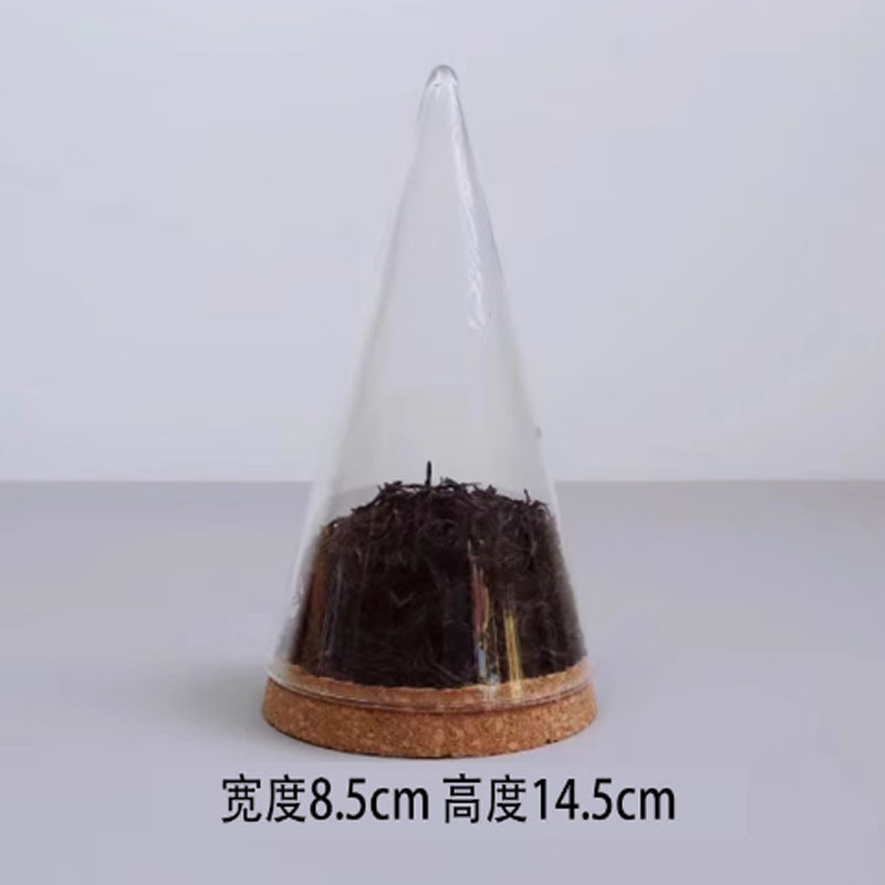 新しい中国茶サンプルコーン香り茶分類保存瓶茶茶サンプルディスプレイコーンディスプレイ茶保存瓶|undefined