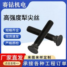 8.8���ߏ������z ƽ�^�R܇˨���^���i��˨ �f���P�r�C����ݽz