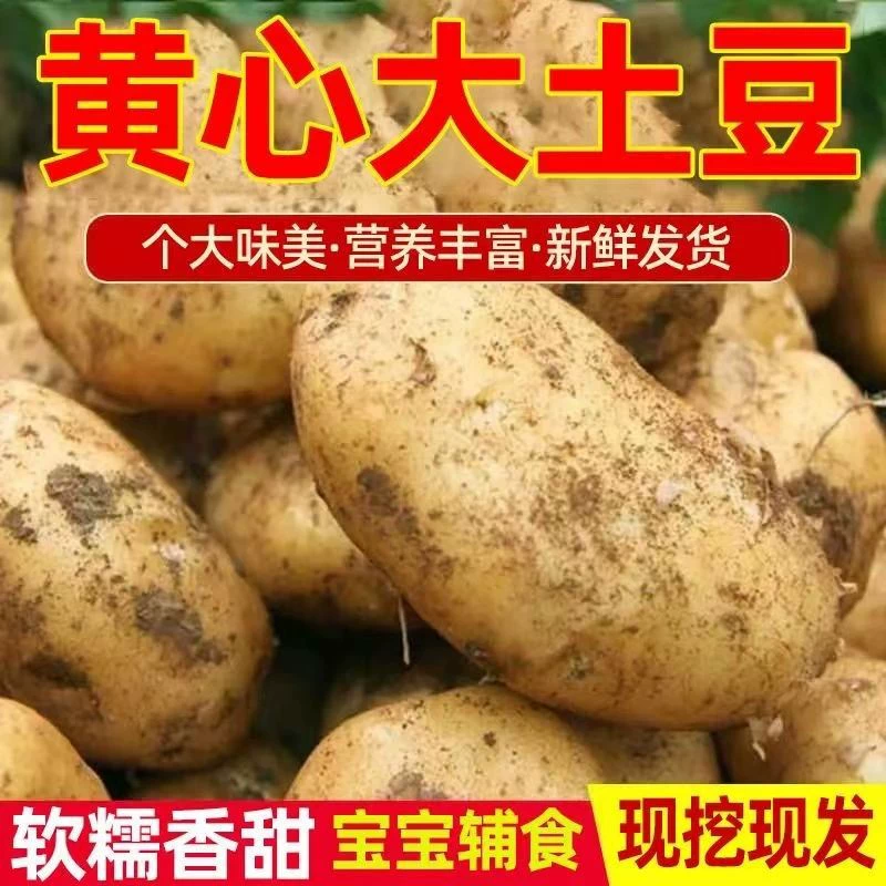 Альпийское желтое сердце большой картофель желтая кожура 5/9 кг коробка мягкого клейкого сладкого картофеля