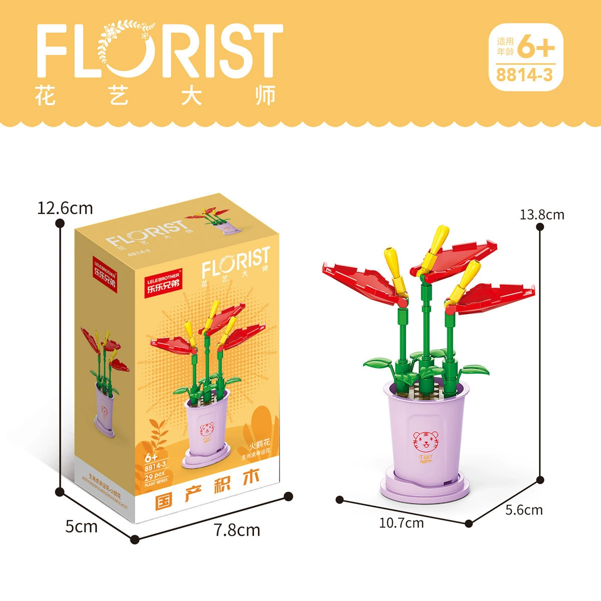 Brother, constructor, toy, bouquet, Birthday gift
