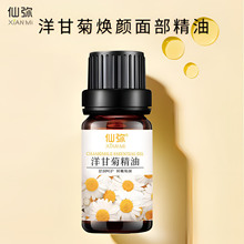 洋甘菊30ML淡纹抗皱焕颜嫩肤精华油保湿紧致以油养肤面部护肤精油