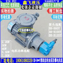 LWBZ-BB-B80Y B100Y B125Yʽ늙C[X݆ͱ늙CM