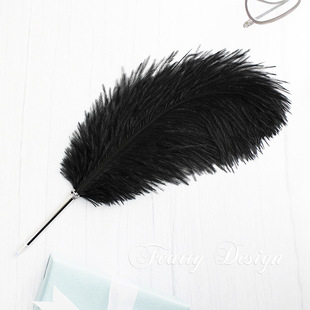 F04B-Y2 creative stationery feather pen ostrich pen ballpoint pen signature pen advertising gift pen for students Prize