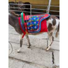 �P�T�R�� ë�HС���Rͨ���R����һ�����R��ِ�������ɫ�S�C�l