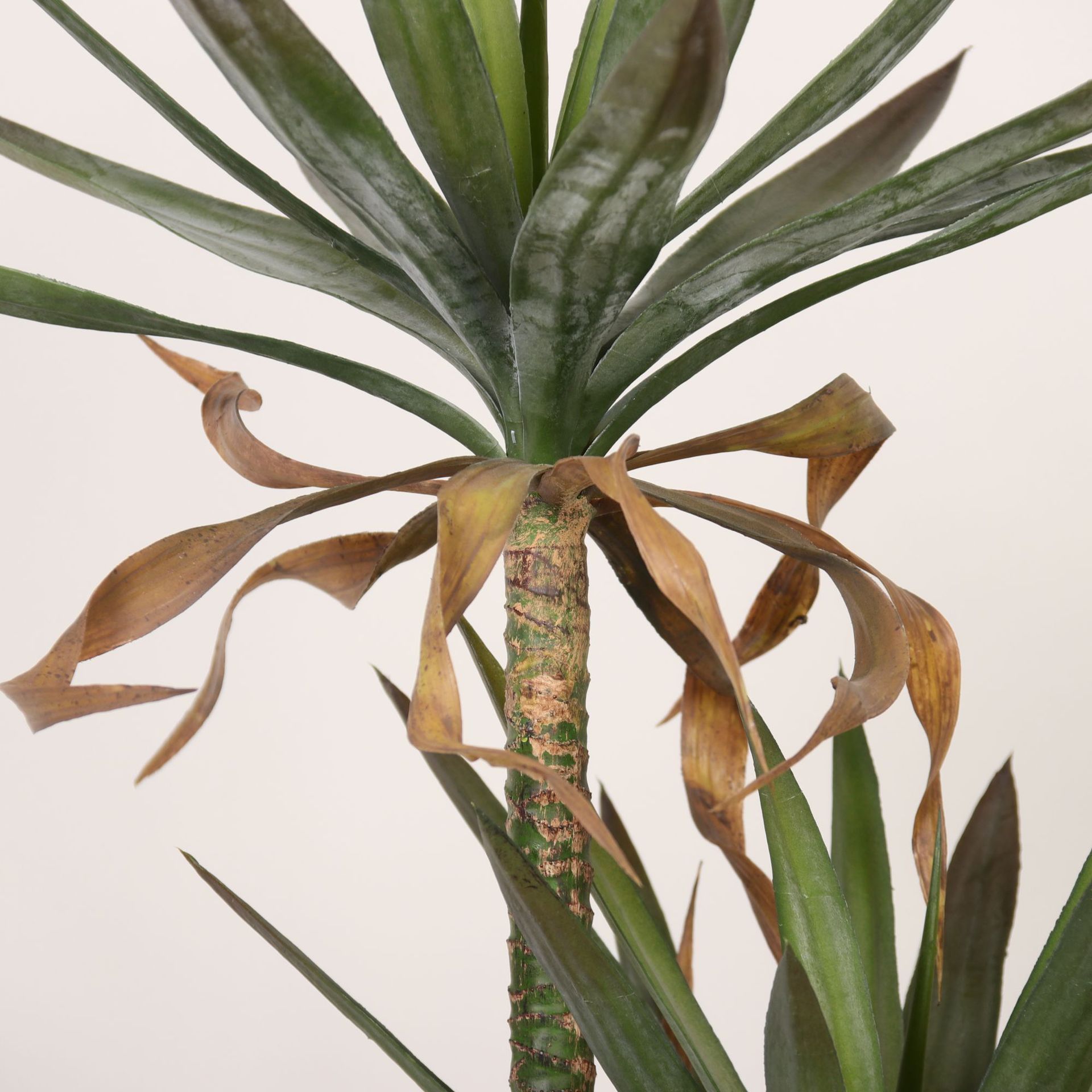 Simulación de agave de hoja gruesa, falsa planta en maceta, planta tropical, decoración del centro comercial, árbol de sangre de dragón, falsa planta verde, paisaje