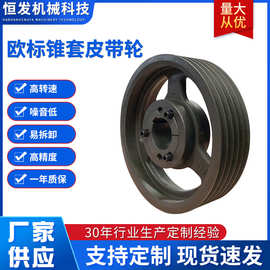 现货直发锥套式欧标皮带轮铸铁电机轮SPBSPASPCSPZ3槽4槽5槽定 制