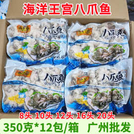 海洋王宫小八爪鱼小章鱼迷你八爪鱼大爆头八爪鱼冷冻火锅食材商用