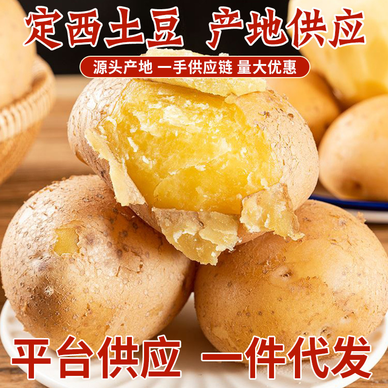 Gansu Dingxi Potatoes, Fresh Potato Sand Flour, Waxy Yellow Skin, Yellow Heart Potatoes, Alpine Farm-Grown Direct Supply Batch