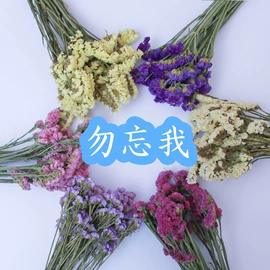 鲜花花艺制品;干花;仓鼠窝、笼