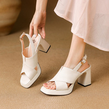 WL|ٴ¶ֺ߸ЬŮ2025ļ¿rз^ͨڴָŮЬ