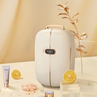 Wow, custom beauty refrigerator 12L vintage portable refrigerator double door digital display mini cosmetic refrigerator custom