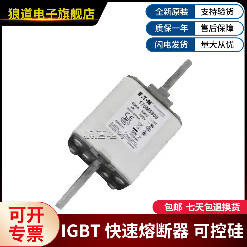 巴斯曼 170M5808 170M5809 170M5810 170M5811熔断器 极速发货