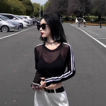 ��ɫ΢͸�W���L��t��Ů�ı�����������2025�¿������̿�����