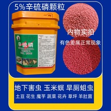 剑九黄5%辛硫磷颗粒地下害虫金针虫土蚕蝼蛄蔬菜羊肚菌土豆杀虫剂