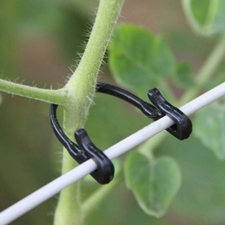 葡萄绑枝扎线 园艺绑带 藤蔓捆扎夹 50个装