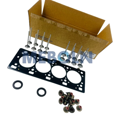 Cylinder and parts Platina, Renault Clio, Kangoo 1.6