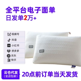 其他枕芯;纤维枕;靠垫/抱枕