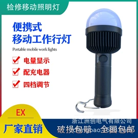 其他专用灯具;其他室外照明;泛光灯