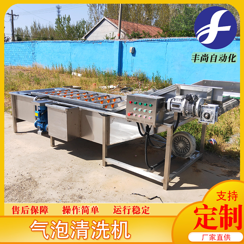 大枣水果清洗机 大红枣清洗机  金丝小枣大型气泡清洗机设备