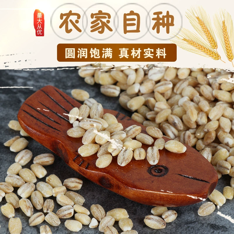 Поставка зерновых зерновых пшениц оптом пшеничных ядер