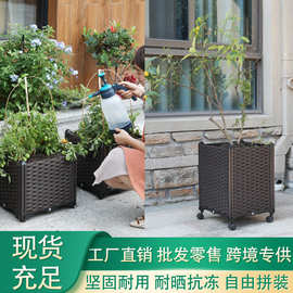 跨境货源种菜箱生产批发种植箱阳台蔬菜种植塑料长方形盆专用菜盆