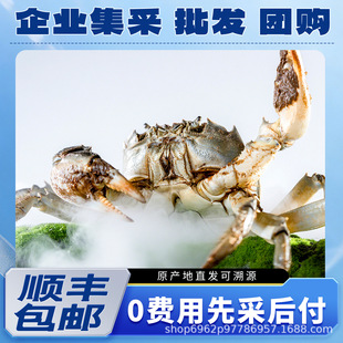 ꖳξ�Ʒ���lз����֪��Ʒ�ƹ�؛��ȫ����������؛Դ�����ۺ�o�n