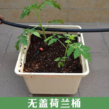 �S��ֱ�N���Ҵ���o�������Oʩˮ�����|�߲˹Ϲ����ϷNֲ���mͰ