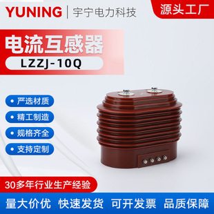 LZZJ-10Q type inner dry type fully enclosed high voltage column current transformer indoor dry type fully enclosed