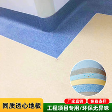 �S�����l���z������ˮ�܌��� ͬ͸͸�ĵ��zֱ���g�tԺPVC���z�ذ�