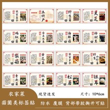 �r�Ҳ˸����خa���������z�̘��N���`֥Ұ���㹽ľ���������ճh