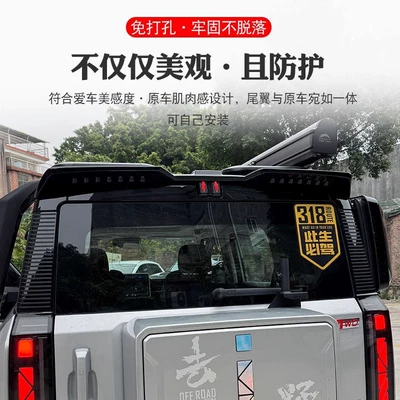 Fixed wind wing wing ICAR03 special tail roof
