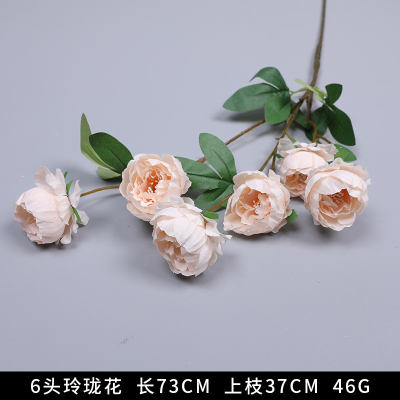 6 Linglong 꽃-샴페인