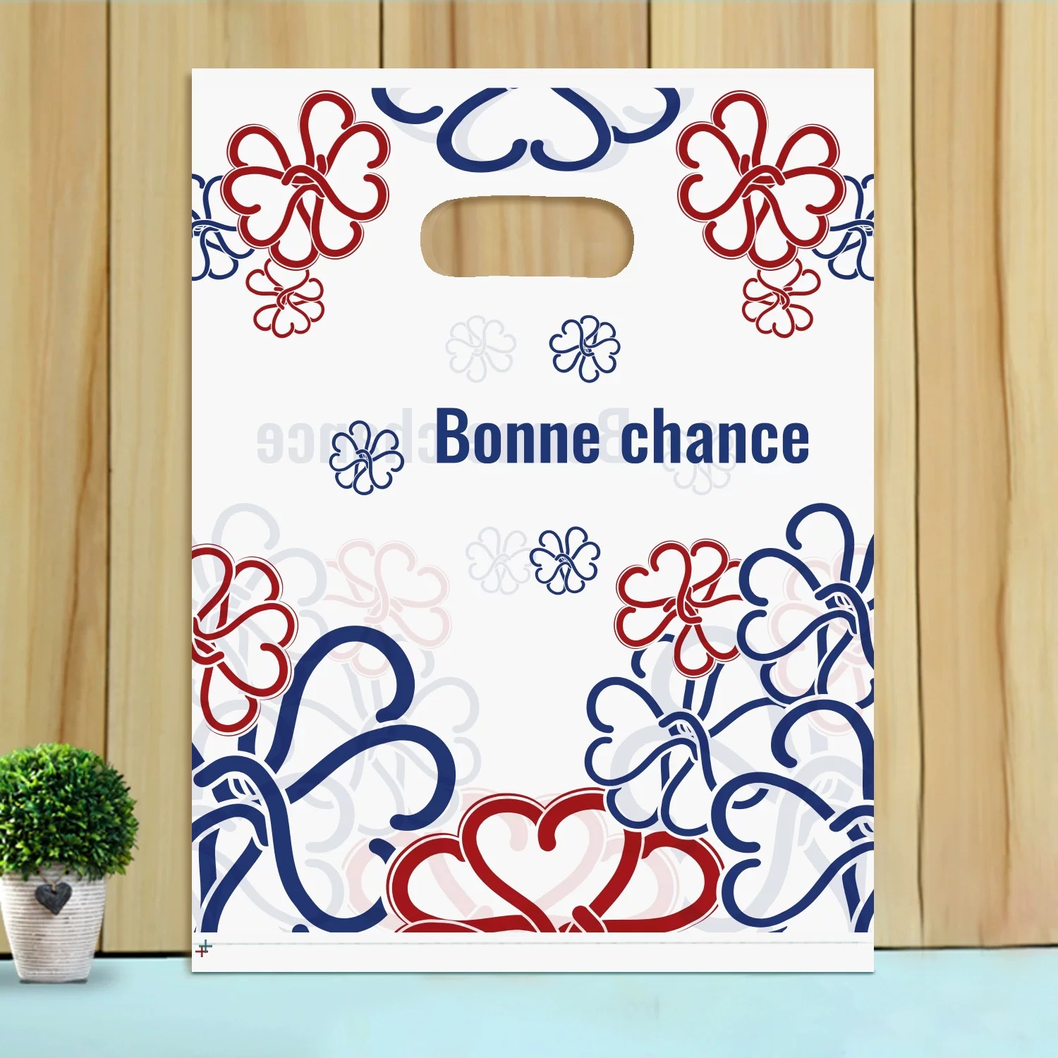 Pequeño bolso de la joyería Regalo de Cumpleaños bolsa de embalaje bolsa de regalo de plástico al por mayor tienda de ropa bolsa de compras envío gratis image 30
