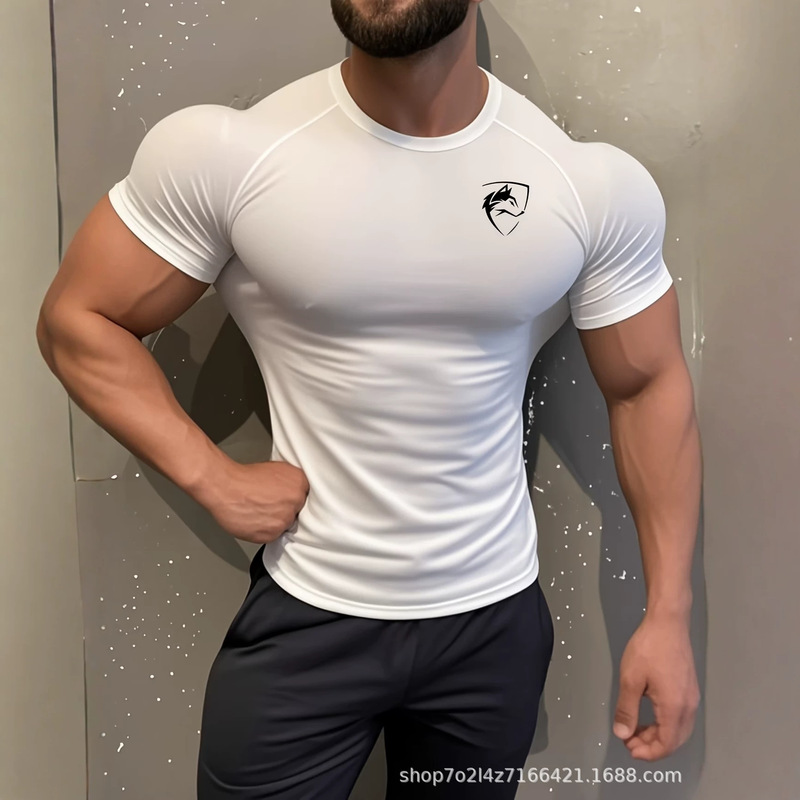 Cross-Border Sports Compression Short-Sleeve Men's Elastic Fitness Running Basketball Quick-Dry Coach Shirt T-Shirt Track and Field Compression Shirt