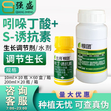 ���¸��� �Ŷ�&middot;�տ���1%��������S�տ���С���������ڼ�ˮ������