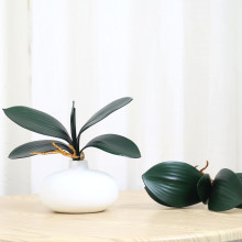 �S�ҷ�������m�~�ӻ�c�Ҿ��b��m���~����ֲ�����Բ廨���l�羳