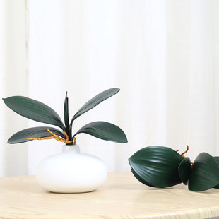 �S�ҷ�������m�~�ӻ�c�Ҿ��b��m���~����ֲ�����Բ廨���l�羳