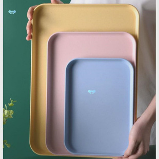2 Size Plastic Fruit Dessert Tray Desktop Food Storage Plate