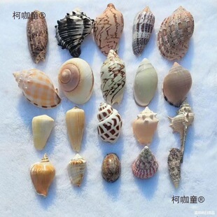 ��Ȼ����ؐ�����Ǻ�đ���~���쾰�ľ�з�Q���ֹ������b[��̫��