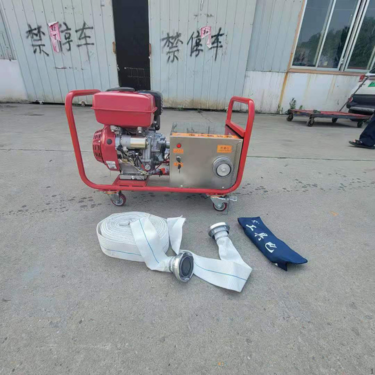 移动式不锈钢输转泵 应急救援泡沫输转泵 手抬式泡沫液添加输送泵