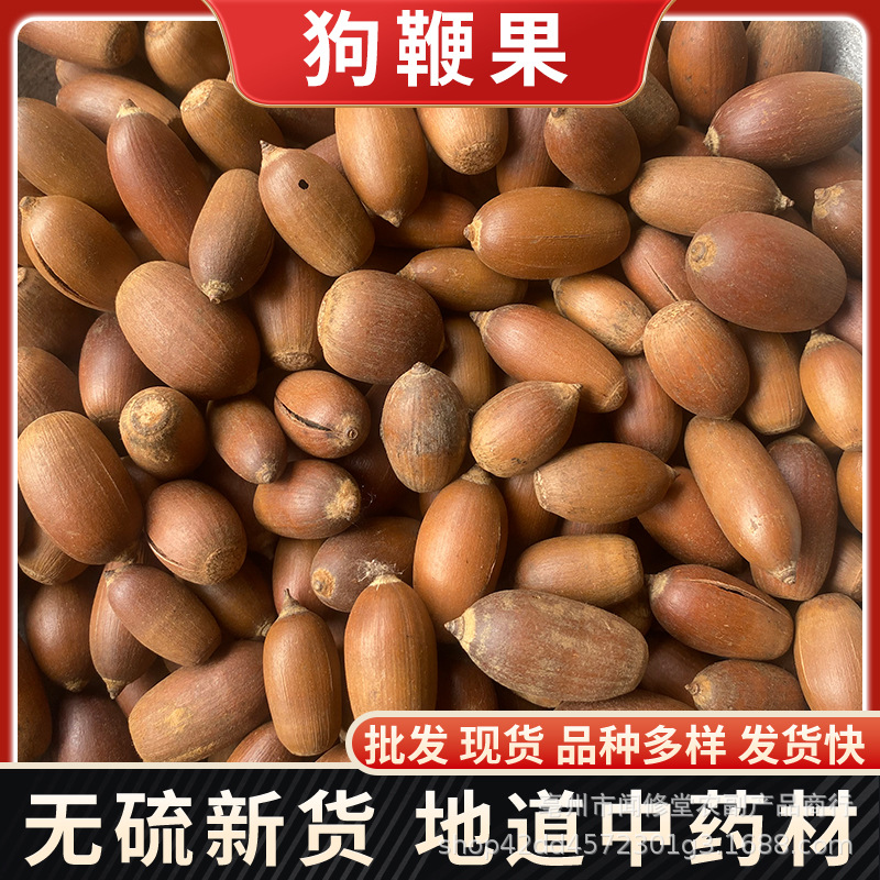 狗鞭果中药材 滋补 毛毛果风流虎鞭果 强腰脱壳干果泡酒原料