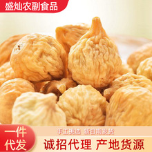 �½��o��������������ܛ�۟o�������ؼ���ș�ğo��������ʳ�ɴ��l