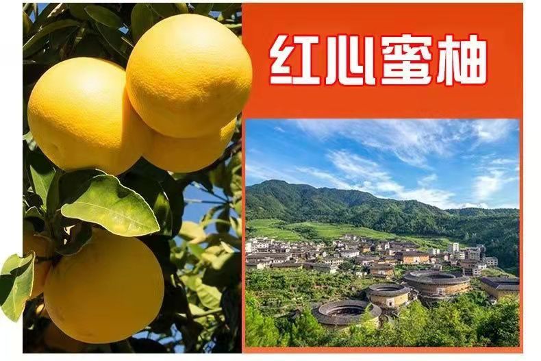 微信圖片_20220820180112