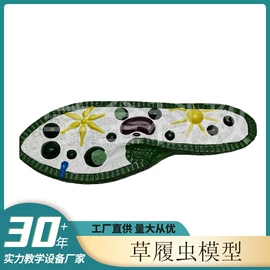 教学演示用品;教学仪器;生物教学器材