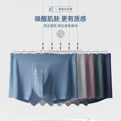 Men's Ion Negative Ion Mulberry Silk Undershorts with No-Show Mesh Waistband, Mid-Thigh Men's Four-Point Briefs, Straight Leg Pants - Wholesale