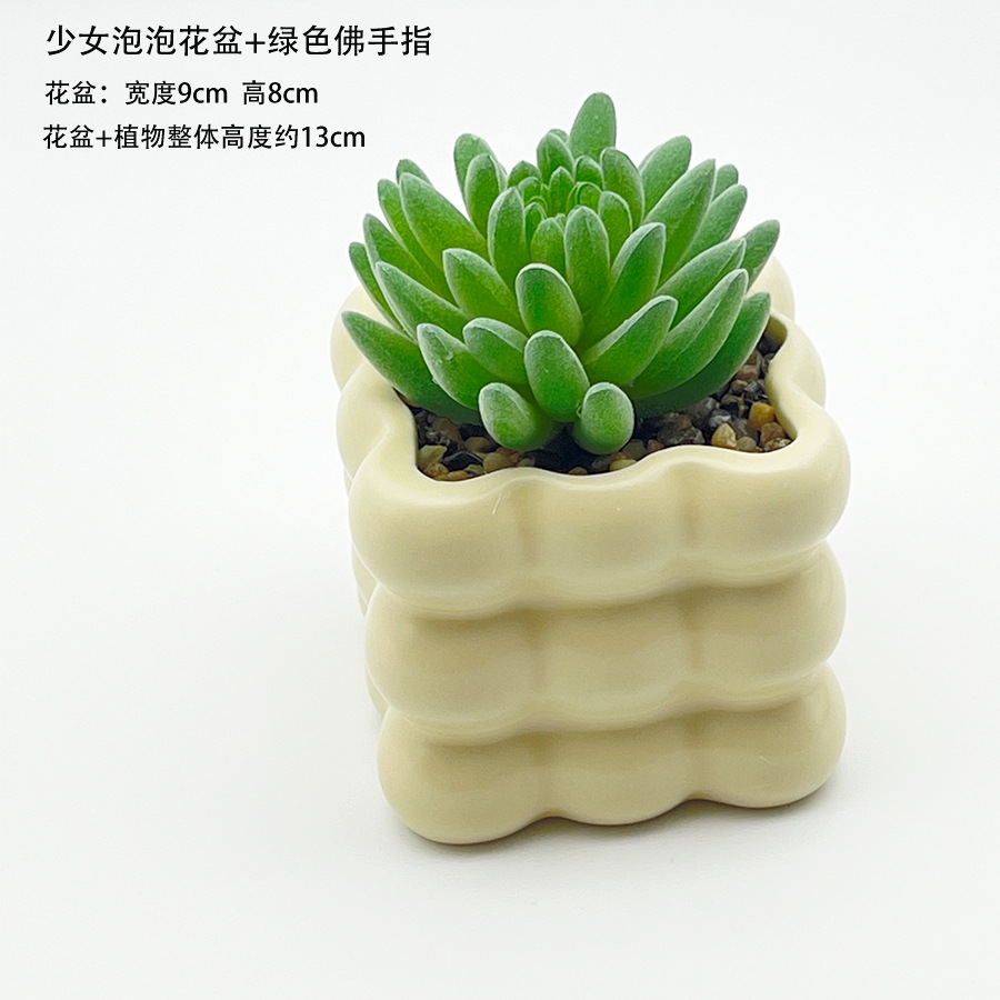 소녀의 버블 화분 + 녹색 부처님 손가락