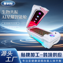 石墨烯生物共振能量舱AI智能太赫兹旋磁太空舱美容院养生太空仓