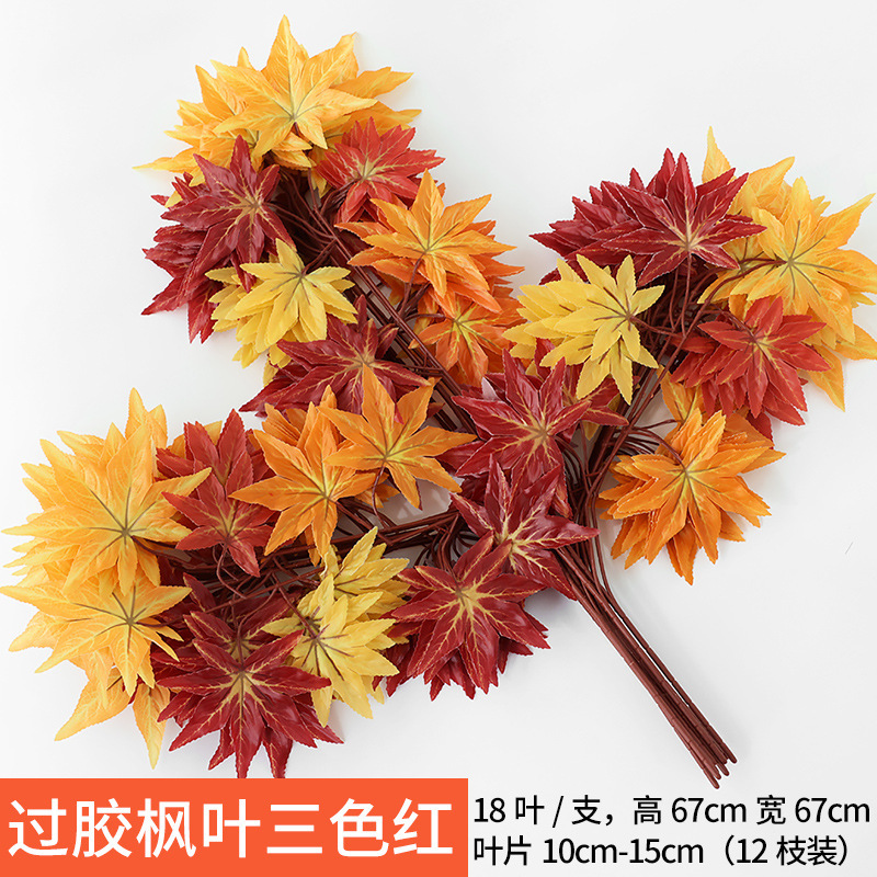 Three -color red in glue maple leaves