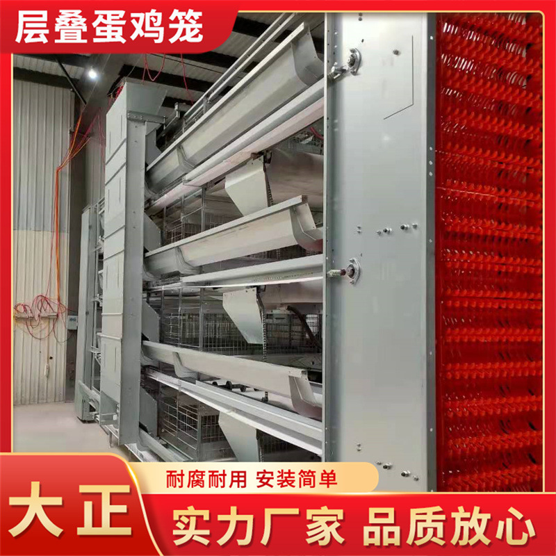 层叠蛋鸡笼蛋鸡养殖设备 全自层叠式肉鸡笼 养殖场层叠式鸡笼子