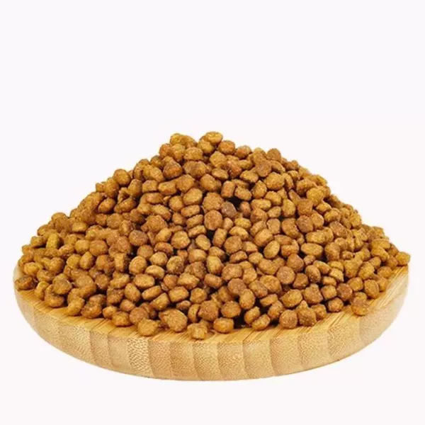 Special food for kitten cats